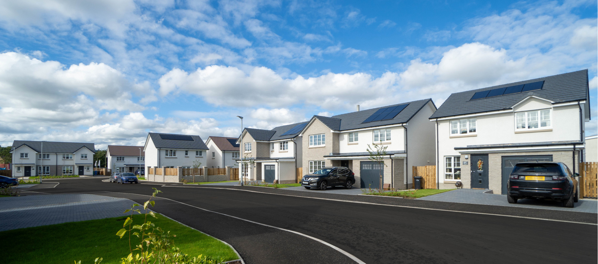 Development image (blurred plates)